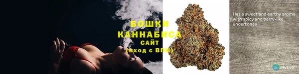 Альфа ПВП Мегион