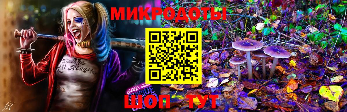 Псилоцибиновые грибы Cubensis Лабытнанги